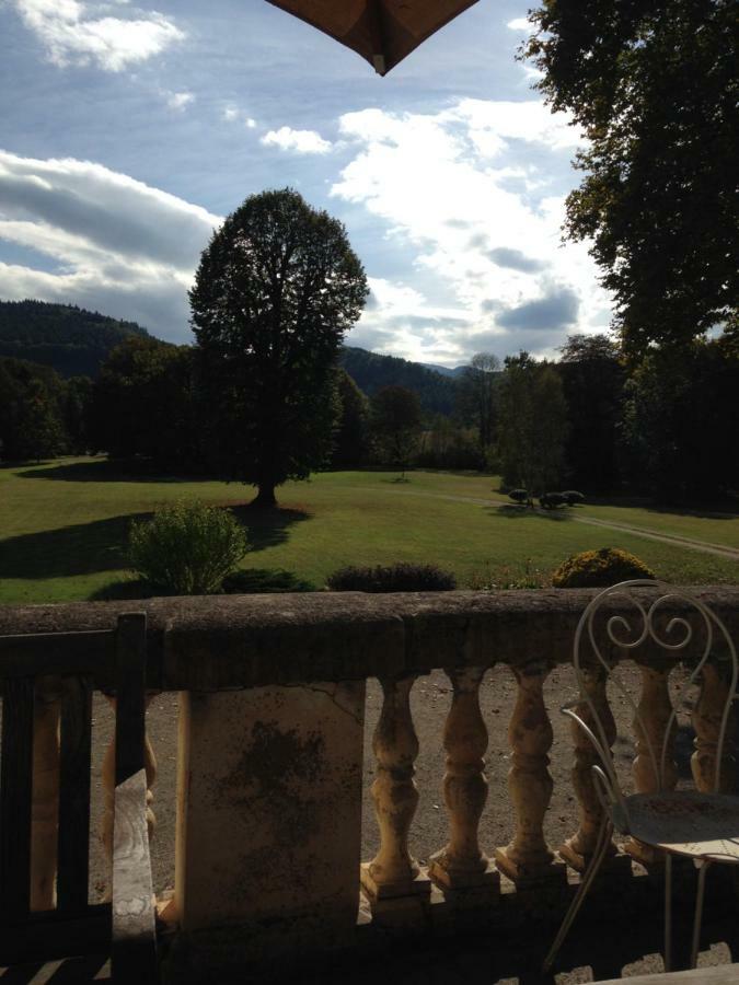 Chateau Du Val Larbont La Bastide-de-Sérou Екстериор снимка